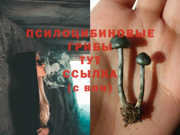 spice Абдулино