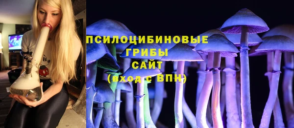 стафф Приозерск