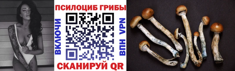 кракен зеркало  где купить наркоту  Нариманов  Галлюциногенные грибы Magic Shrooms 